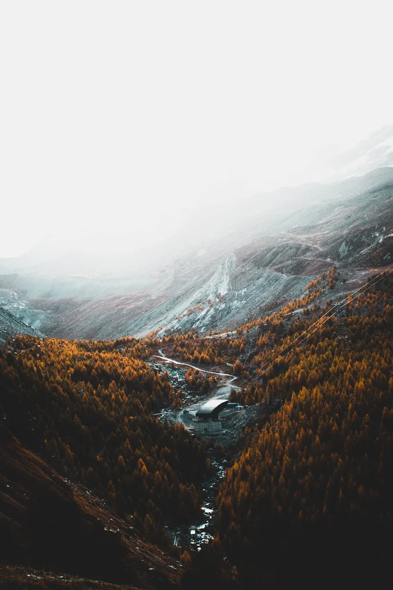 Mist over an autumn valley, from the Harvest book’s autumn opening.