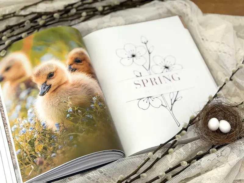 The Harvest book’s Spring Holidays divider, with botanical line art and a photograph of young chicks.