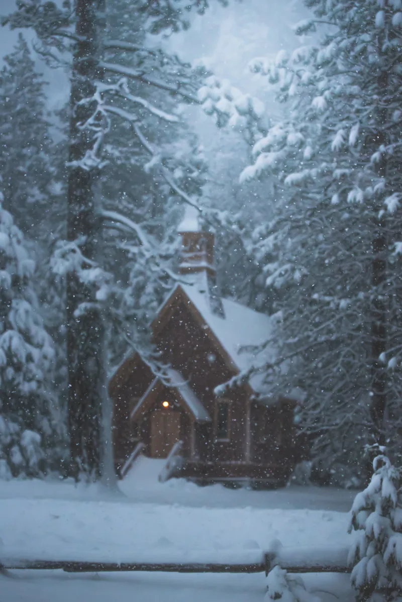 A cabin and evergreens in a quiet snowy landscape, from the supplied book image library.